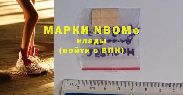 шишки Козловка