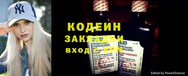 шишки Козловка