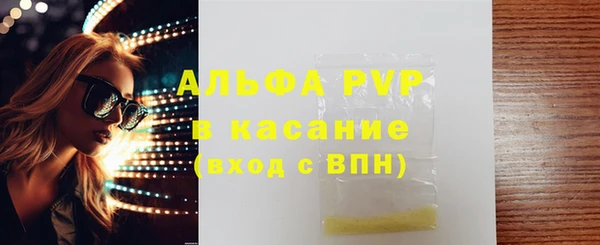 стаф Козельск