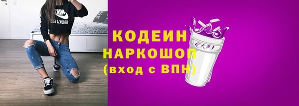 стаф Козельск