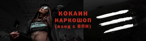 шишки Козловка