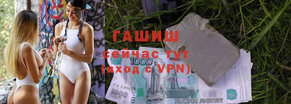 стаф Козельск