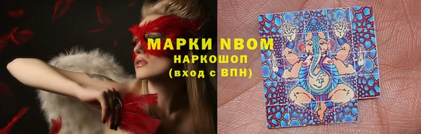 шишки Козловка