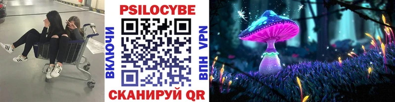 Купить закладки  Исилькуль  Галлюциногенные грибы мухоморы 